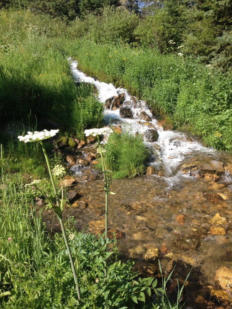 mountain river